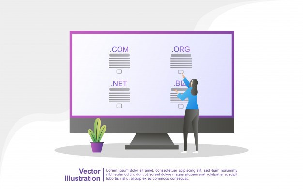 Qué es un dominio web